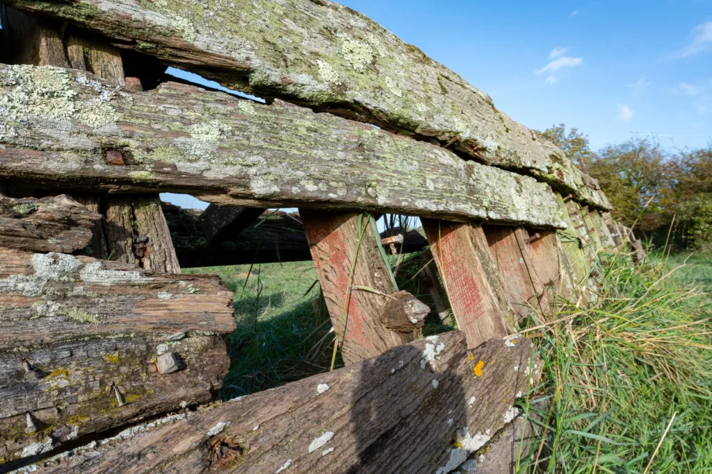 Exploring Decay and Beauty at Purton Ship Graveyard in October purton ship graveyard weathered wood closeup