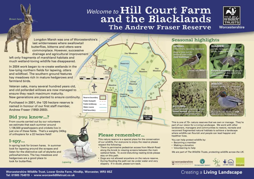 Informational poster for Hill Court Farm & The Blacklands, featuring a map, seasonal wildlife highlights, and visitor guidelines, created by the Worcestershire Wildlife Trust.