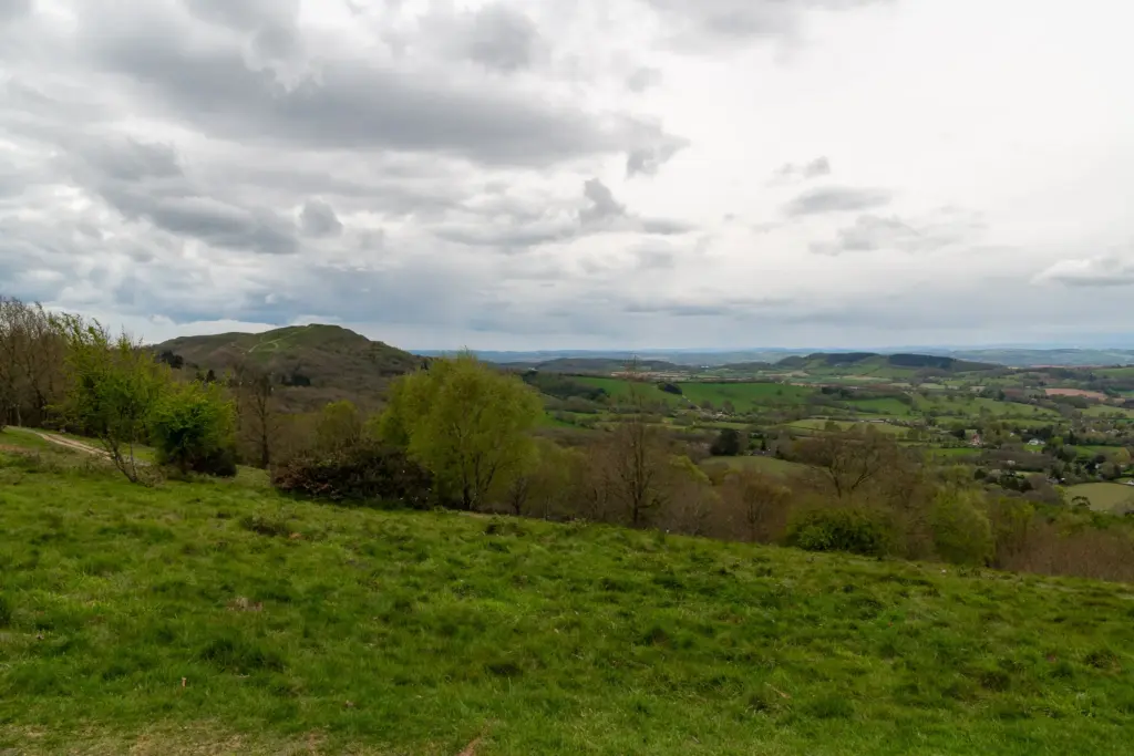 A serene countryside with a grassy meadow, scattered trees, a dirt path, and rolling hills under a cloudy sky.