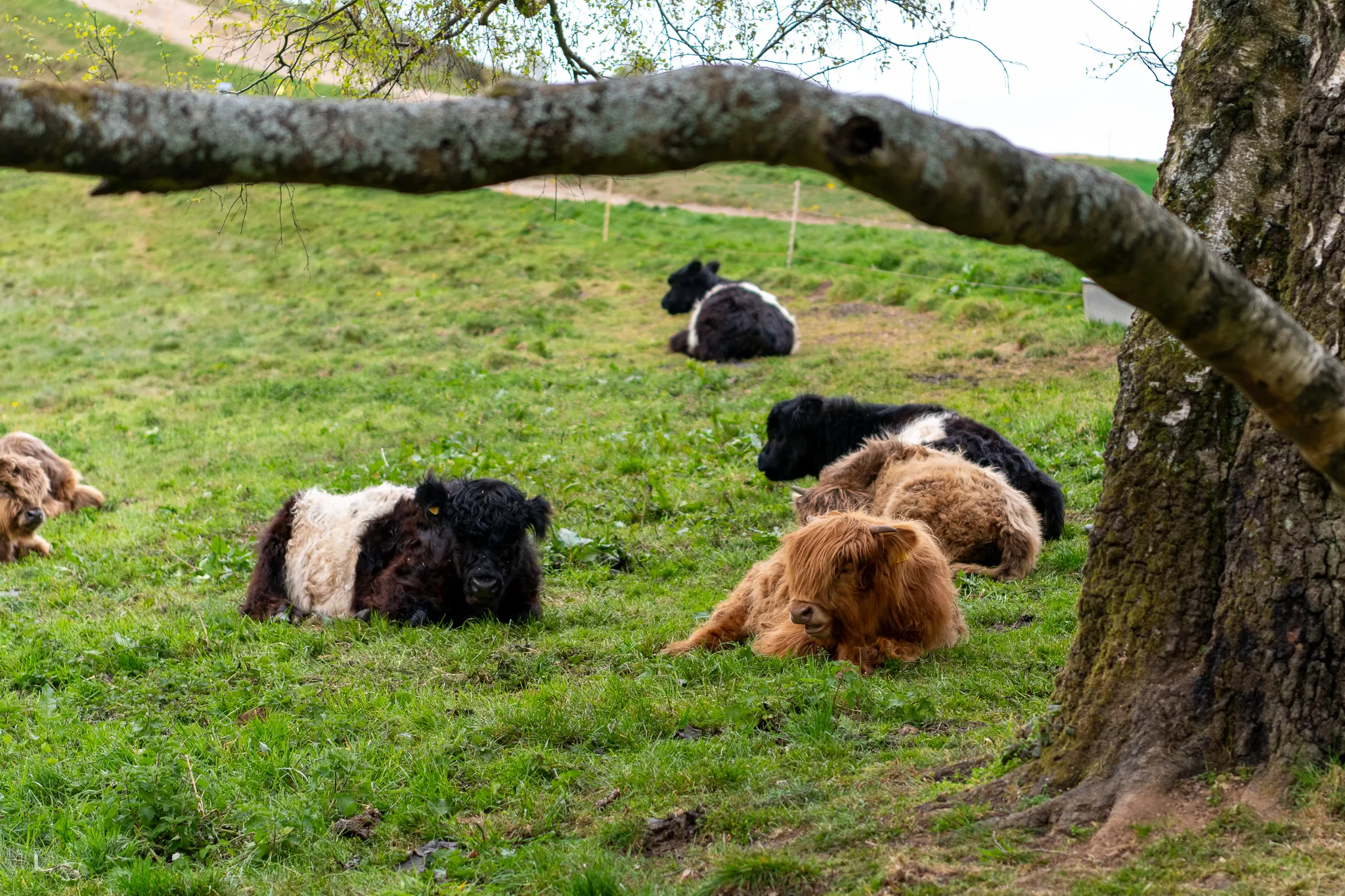 A Photographer’s Journey Through the Malvern Hills