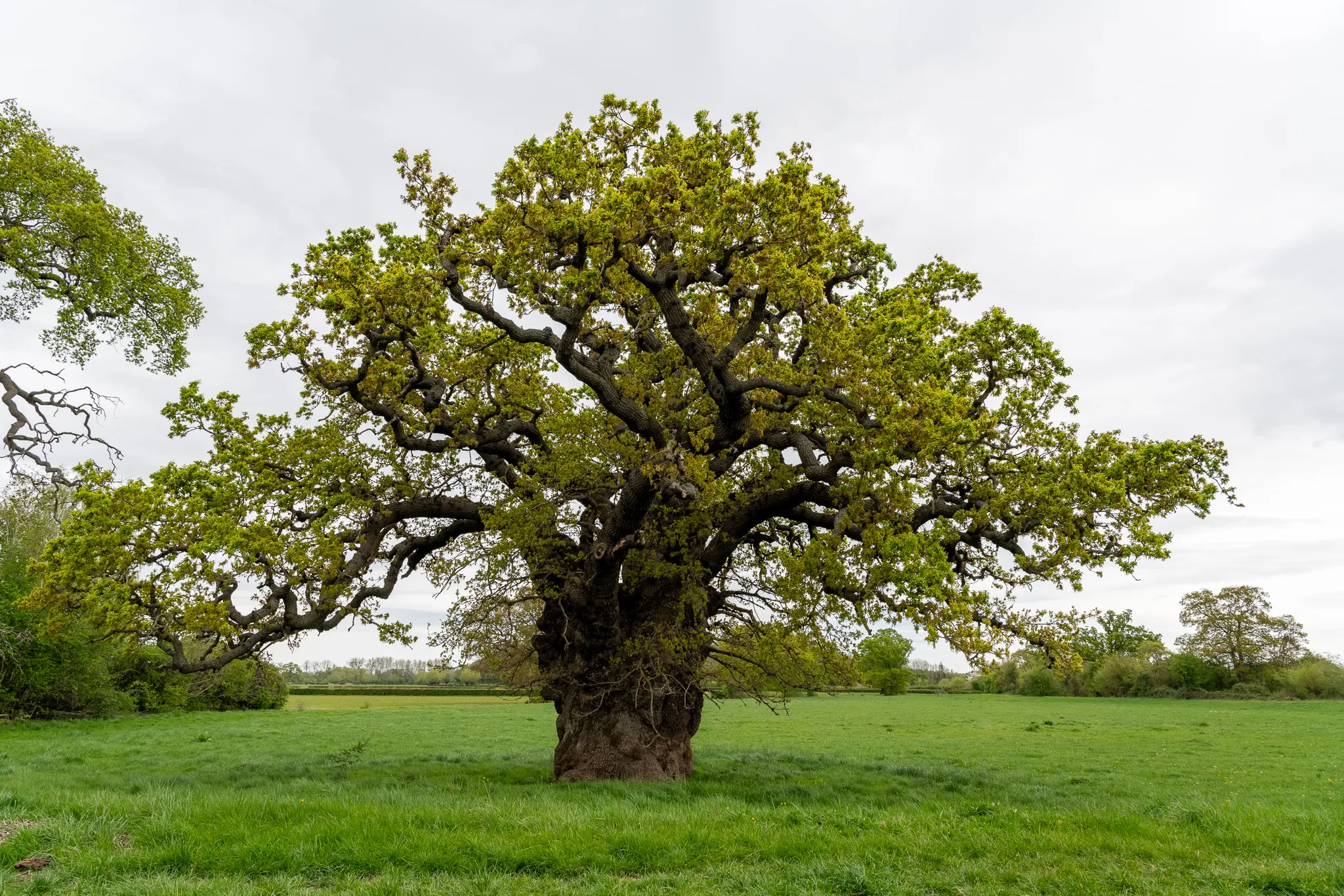 Capturing Solitude and History: A Scenic Walk Along the Severn Way from Hawbridge