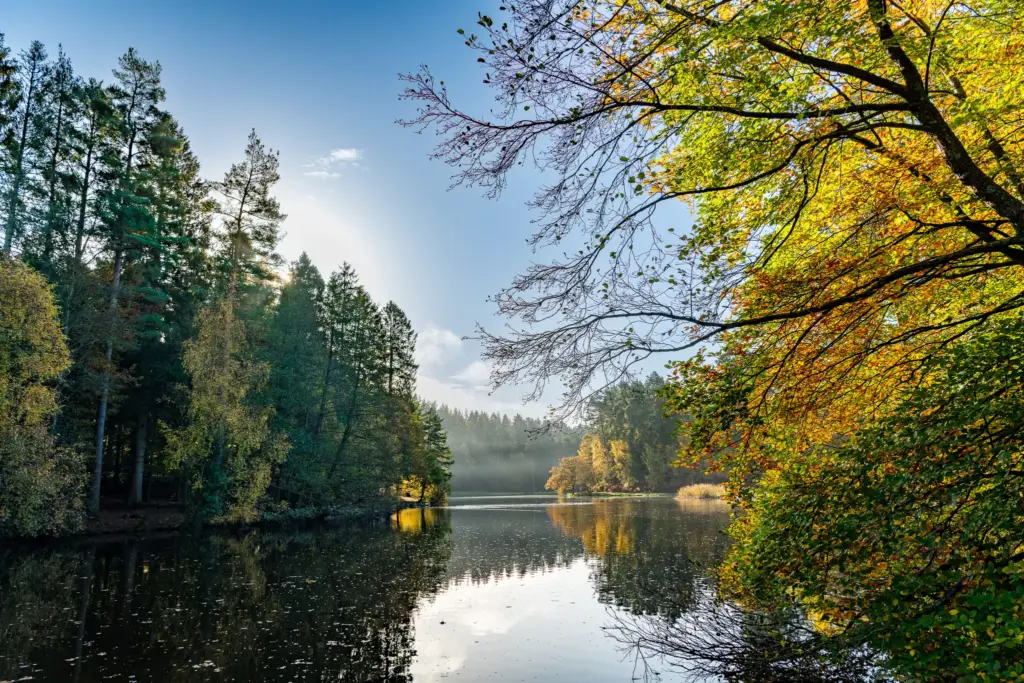 Autumn view of Mallard Lake in the Forest of Dean, surrounded by evergreen and deciduous trees reflecting on the calm water.