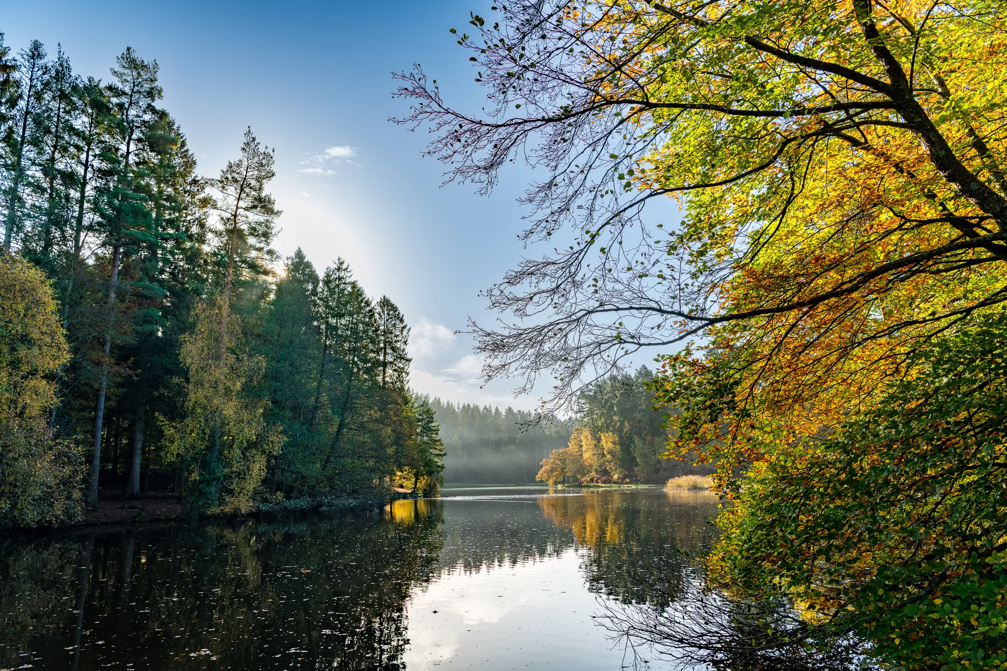 Capturing Autumn’s Splendor at Mallards Pike: A Photographer’s Walk
