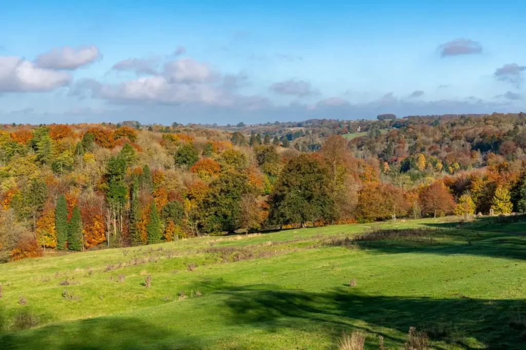 Scenic autumn landscape at Miserden Estate near Stroud, with a grassy field, colorful trees, and rolling hills under a blue sky