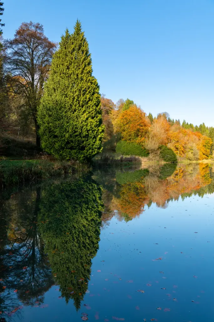 Picturesque autumn scene at Miserden Estate near Stroud, with an evergreen tree and colorful deciduous trees reflected in a still pond