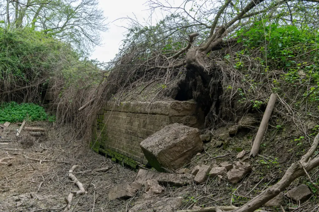 Partially collapsed brick structure covered in moss and surrounded by overgrown vegetation and scattered branches.