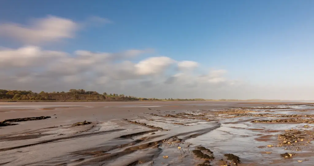 Tidal mudflats with water channels and scattered rocks at Purton Ship Graveyard, bordered by a tree-lined riverbank under a clear sky